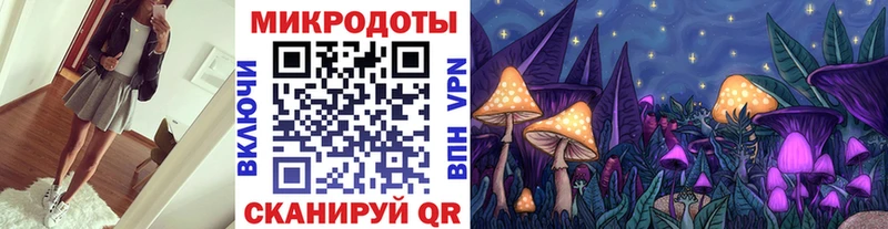 цены наркотик  Короча  Галлюциногенные грибы Psilocybine cubensis 